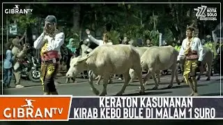 [GIBRANTV] KERATON KASUNANAN KIRAB KEBO BULE DI MALAM 1 SURO