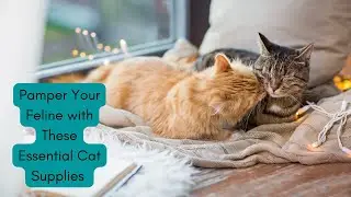 Pamper Your Feline with These Essential Cat Supplies #CatSupplies #CatComforts #FelineLifestyle