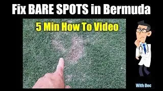 Bermuda Grass Repair - QUICK Bare Spot Repair