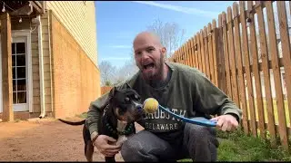 ChuckIt! Classic Ball Launcher, Medium (26 Inch) Review!