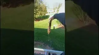 😃😐Cleaning blocked drain pipe #shortsvideo #shorts #draincleaning