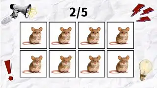 Say The Word On Beat With 5 LEVELS | LEVEL 1-5 | Level EASY to IMPOSSIBLE