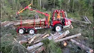 Kranman Bison 10000 &ndash; Boggieband