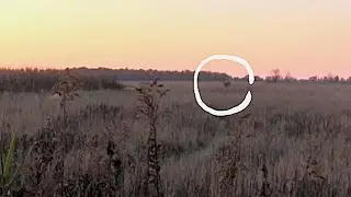 Grunting and Rattling in Big Public Land Bucks with the Black Rack Rattling system