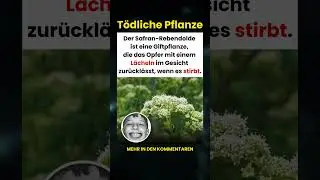 Die Giftpflanze, die ihre Opfer mit einem L&auml;cheln im Gesicht zur&uuml;ckl&auml;sst 🌿😏
