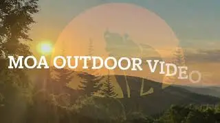 Bear proof Game Cameras, Protecting your game camera, Camera Vaults