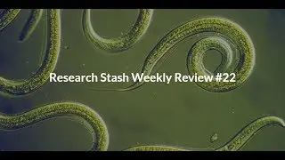 Research Stash Weekly Review #22