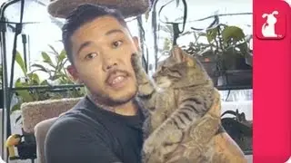 dayvenmayeda - The Pet Haul