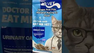 Jangan Sembarang Cat Food Buat Kucing Ex Flutd, Mr Vet T3 Urinary Care Rekomen Nih #catcare #cat