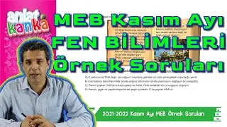 Kasım Ayı Örnek Sorular Fen Bilimleri LGS 2022