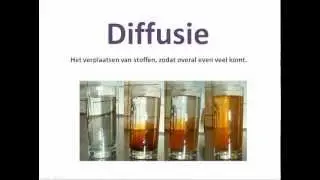 bs 2.2 diffusie, adhesie, cohesie