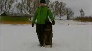 ZICO Barnero funny obedience