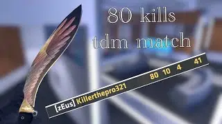 80 KILLS IN A TDM MATCH!!!!!