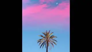 (FREE FOR PROFIT) Khalid x Glass Animals x Pop Type Beat 