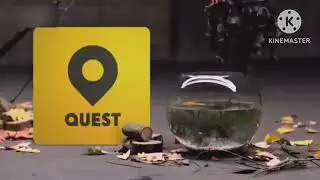 Quest (UK) Ident 2017 (Fire)