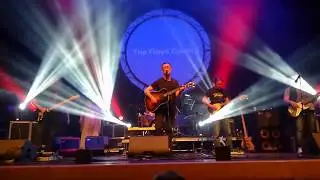 The Floyd Council - Comfortably Numb (Pink Floyd)