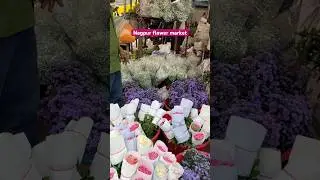 Inside India's Most Extravagant Flower Market #flower #shorts #nagpur