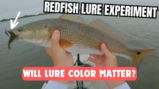 Redfish Mulligan Lure Experiment: Will Lure Color Matter?