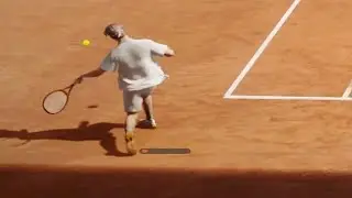 NOVAK DJOKOVIC APPROVES THIS RETURN