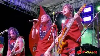 Los Bufalos - Azogues