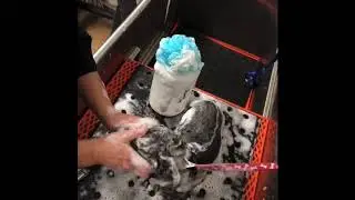 How to wash shelter dog by volunteer groomer (KMDOG)