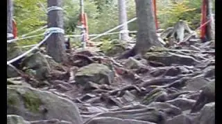 Downhill Bad Wildbad - Rudi van Houts