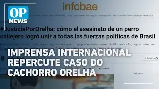 Morte brutal do cão 
