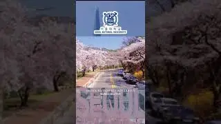 SNU ( Seoul National University )