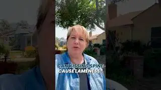 Can Kissing Spine Cause Lameness? #horsecare #equinehealth #equestrian