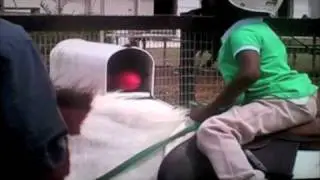 Haitian Special Olympic Riders