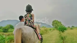 Horse riding neiging #horse eating grass# relation videos# nature relaxing videos sound