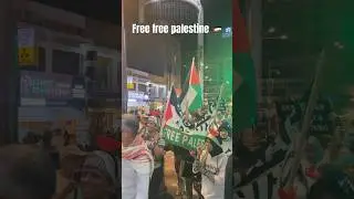 Free free palestine 🇵🇸 stop war in gaza please🙏 #palestine #gaza #allah #muslim #stopwar #fyp #kl