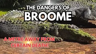 Broome Western Australia | Crocs, Staircase to the Moon and iconic markets!