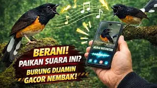 🔴PANCINGAN MALAM‼️PUTAR 3-5 MNT PASTI BESOK GACOR RAPET 