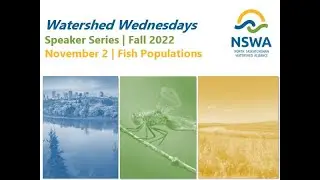 Watershed Wednesdays - Fish Population Updates for the North Saskatchewan River watershed