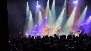 You Am I - Punkarella - Live, Adelaide 2/5/25