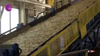 French sugar giant advances production amid looming energy crisis