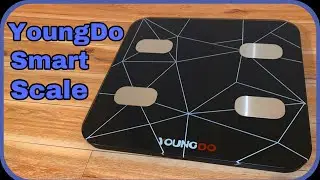 YoungDo Smart Bluetooth Scale Step Your Health And Fitness Game Up