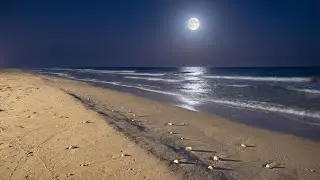 Sweet dreams!