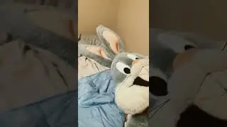 ￼ Bugs Bunny won&rsquo;t stop hitting the wall