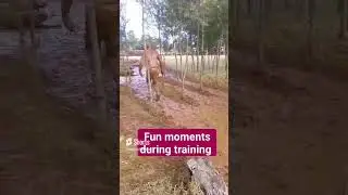 Fun moments during kdf training #kdf #army #kenya #military #kdftraining#shorts