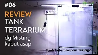 Review Tank Terrarium dengan misting kabut