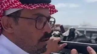 اسعار التيوس بسوق التميز للمواشي بشقصان جنوب الطائف الخميس ١٤٤٥/١/٢ هـ