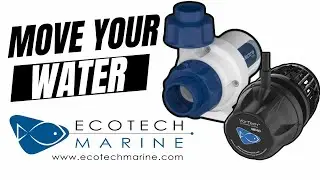 Saltwater Aquarium Flow | Why You Should Choose Ecotech | AAC Coral Lab