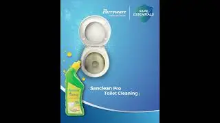 Cleaning Pro When It Comes To Your Bathroom | parryware safeessentials