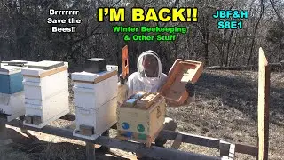 Winter Bee Chores S8E1