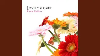 Lovely Flower