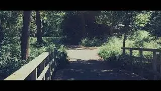 Beginnings of Summer Part 1&2 , Iphone , Filmic Pro , Handheld .