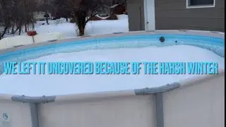 Polygroup Summer Waves 16x48 Elite Frame Pool Winter Update -3year old pool