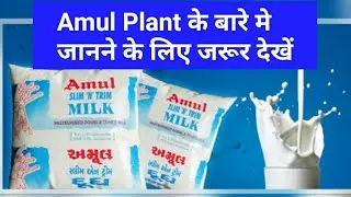 Amul Plant Visit in Rajasthan | Amul Dairy Plant Visit